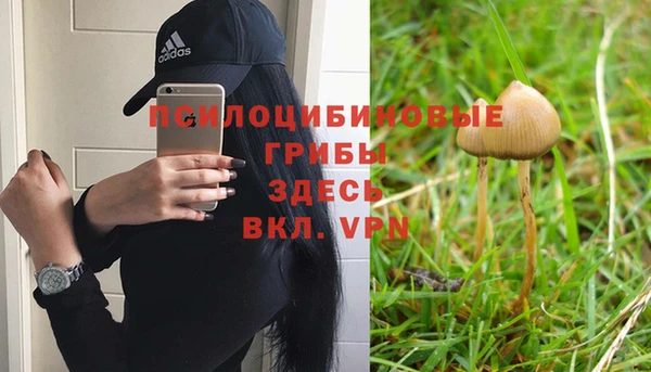 2c-b Беломорск