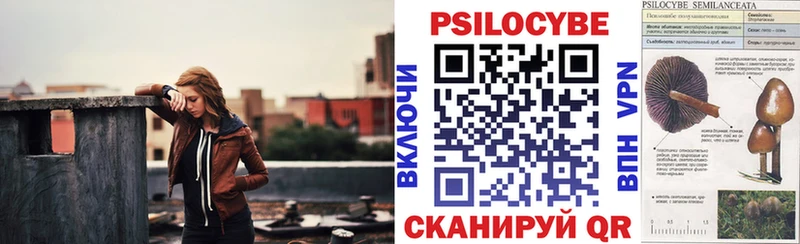 гидра   Тбилисская  Псилоцибиновые грибы ЛСД 